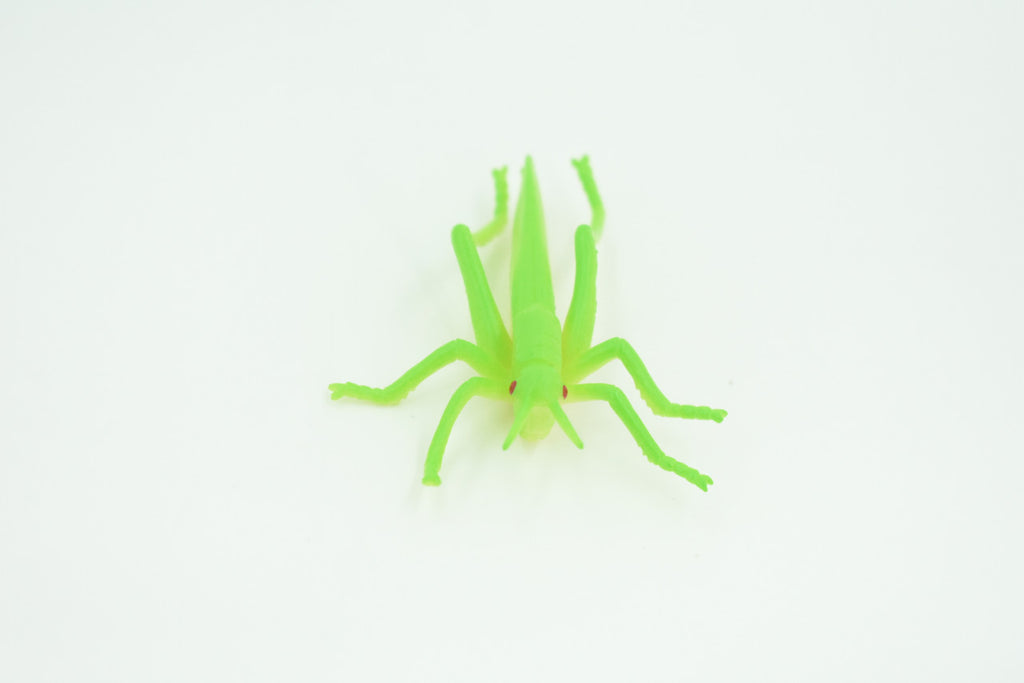 Grasshopper, Very Nice Rubber Insect, Educational, Realistic Hand Painted, Figure, Lifelike Model, Figurine, Replica, Gift,     2 1/2"   US23 B44