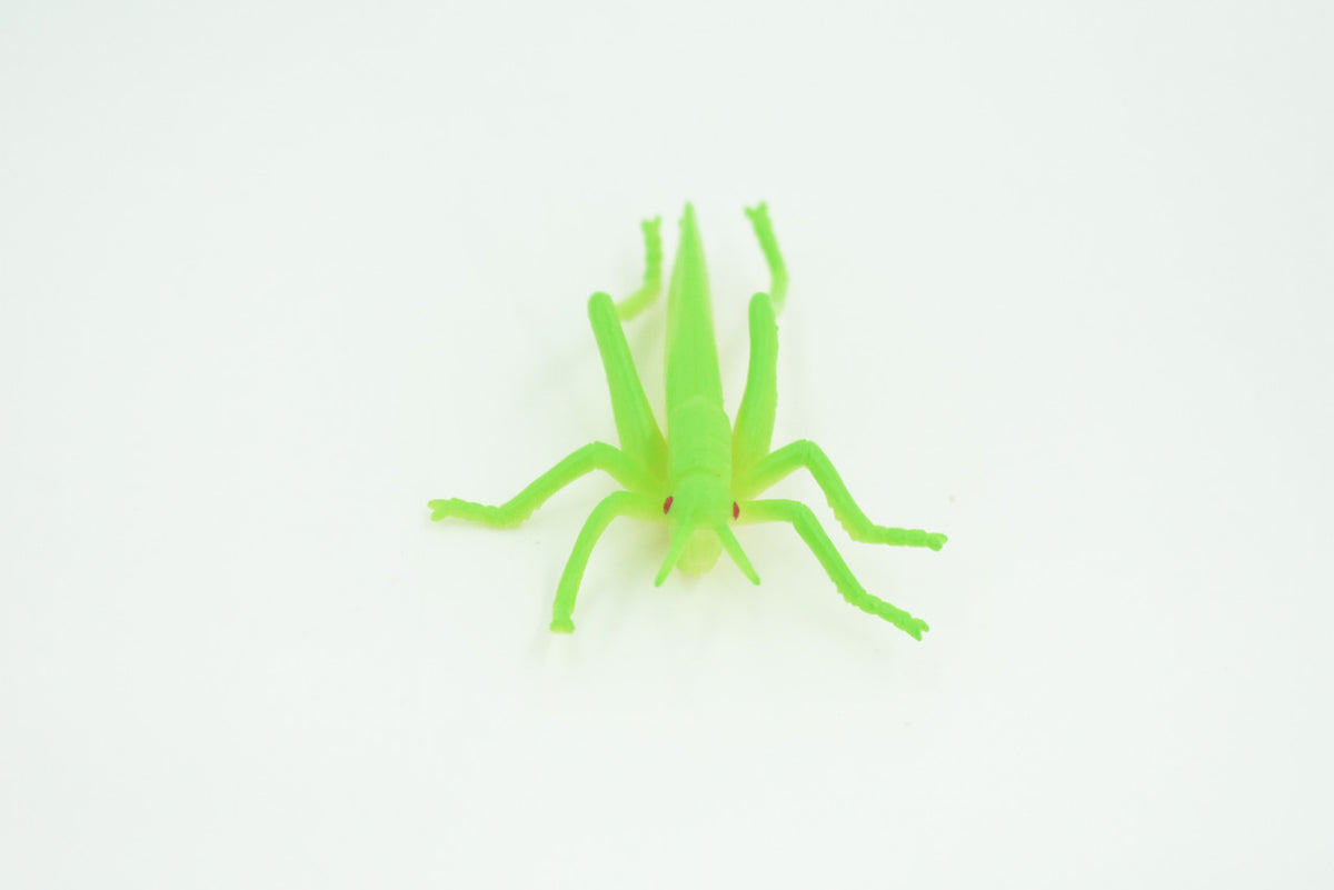 Grasshopper, Very Nice Rubber Insect, Educational, Realistic Hand Painted, Figure, Lifelike Model, Figurine, Replica, Gift,     2 1/2"   US23 B44