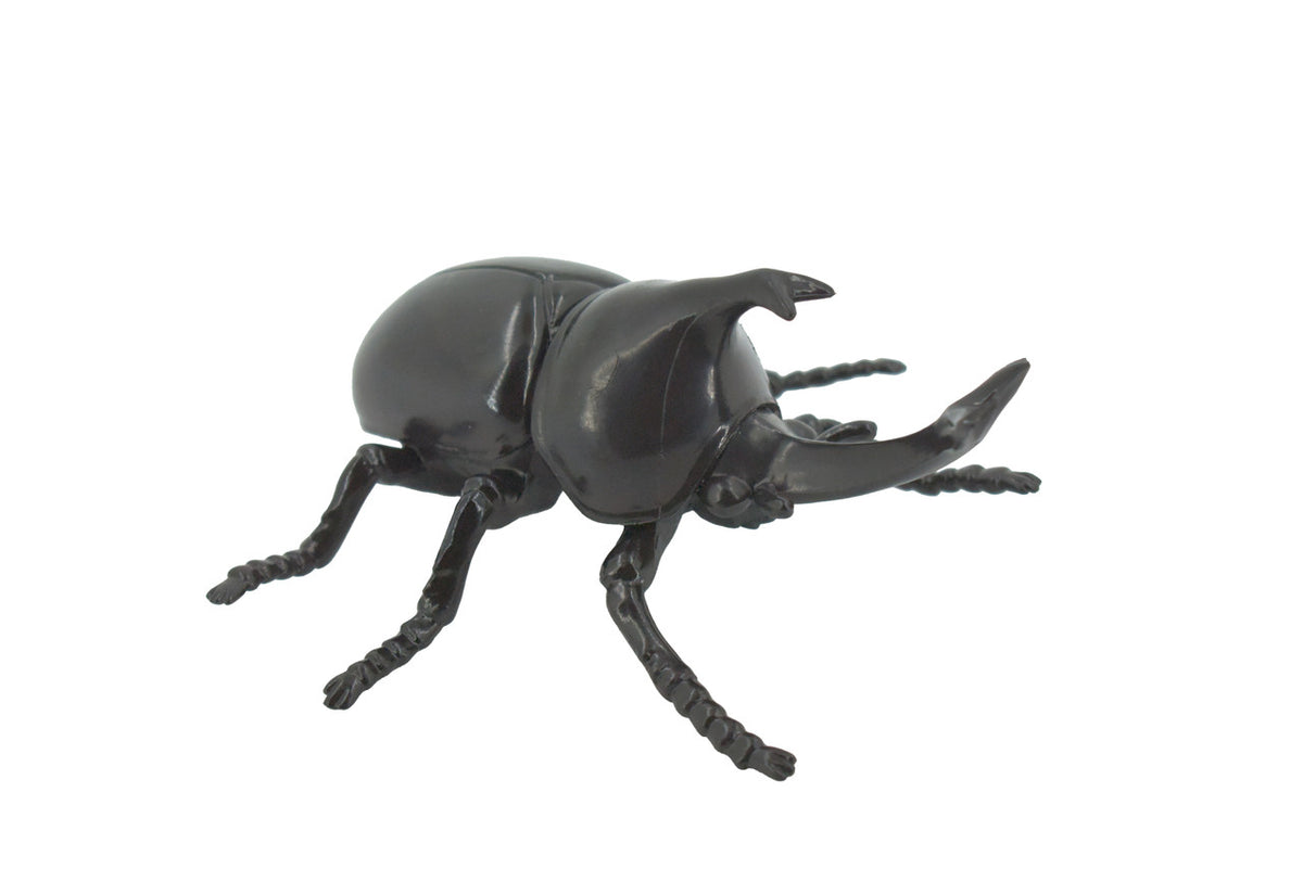 Beetle, Rhinoceros, Horned Stag Beetle, Dynastinae, Rubber Insect, Educational, Toy, Kids, Realistic Figure, Lifelike Model, Figurine, Replica, Gift