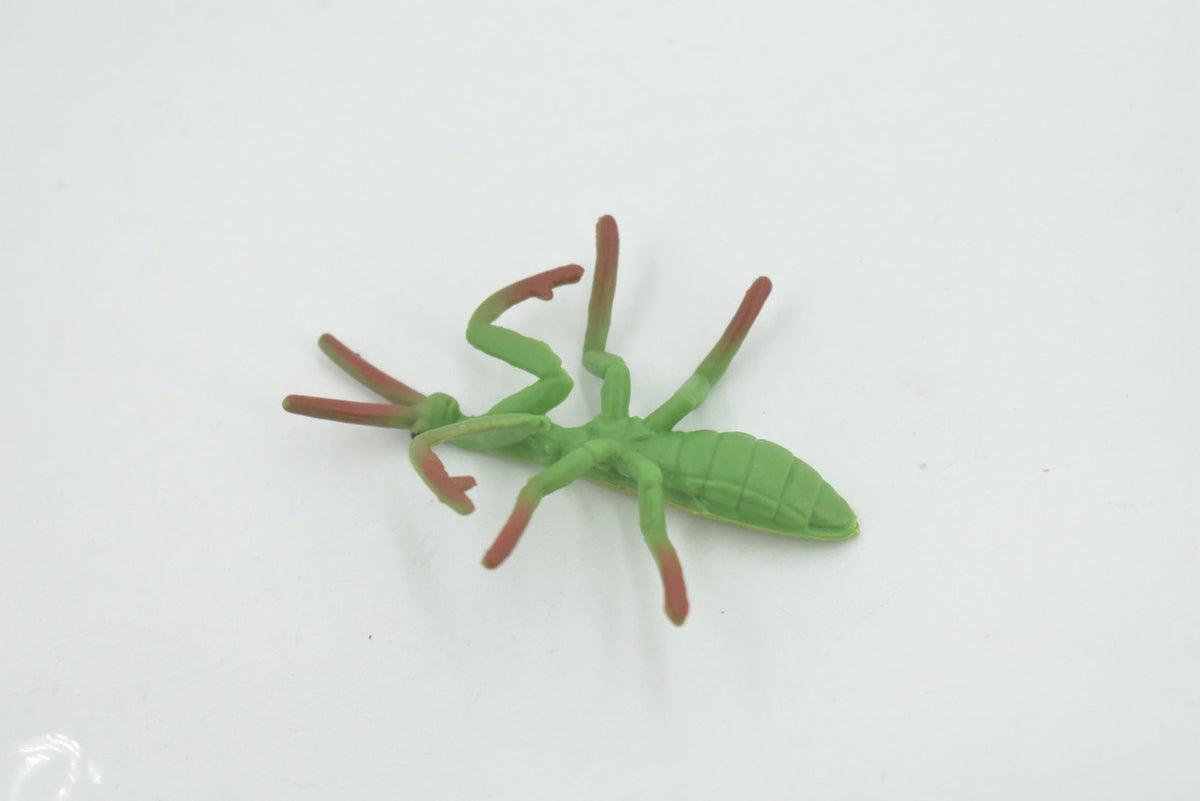 Praying Mantis, Mantidae, High Quality, Hand Painted, Rubber Insect, Realistic, Toy Figure, Model, Replica, Kids, Educational, Gift,       2 1/2"      CH697 BB174