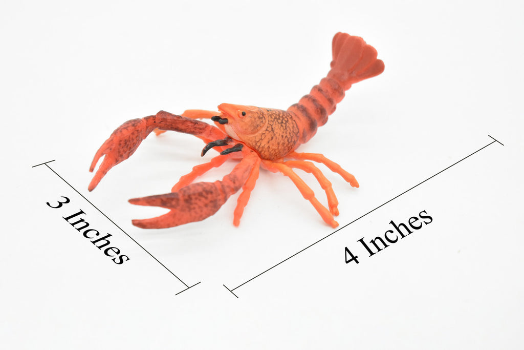 Crayfish Toy, Crawfish, Crawdads, Very Realistic Rubber Figure, Model, Educational, Animal, Hand Painted Figurines,  4"    CH045 BB76