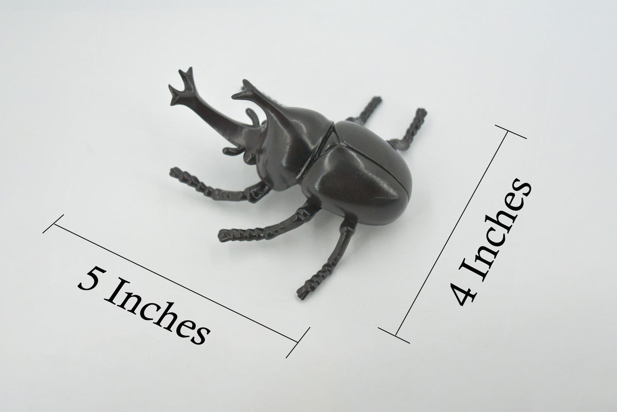 Beetle, Rhinoceros, Horned Stag Beetle, Dynastinae, Rubber Insect, Educational, Toy, Kids, Realistic Figure, Lifelike Model, Figurine, Replica, Gift