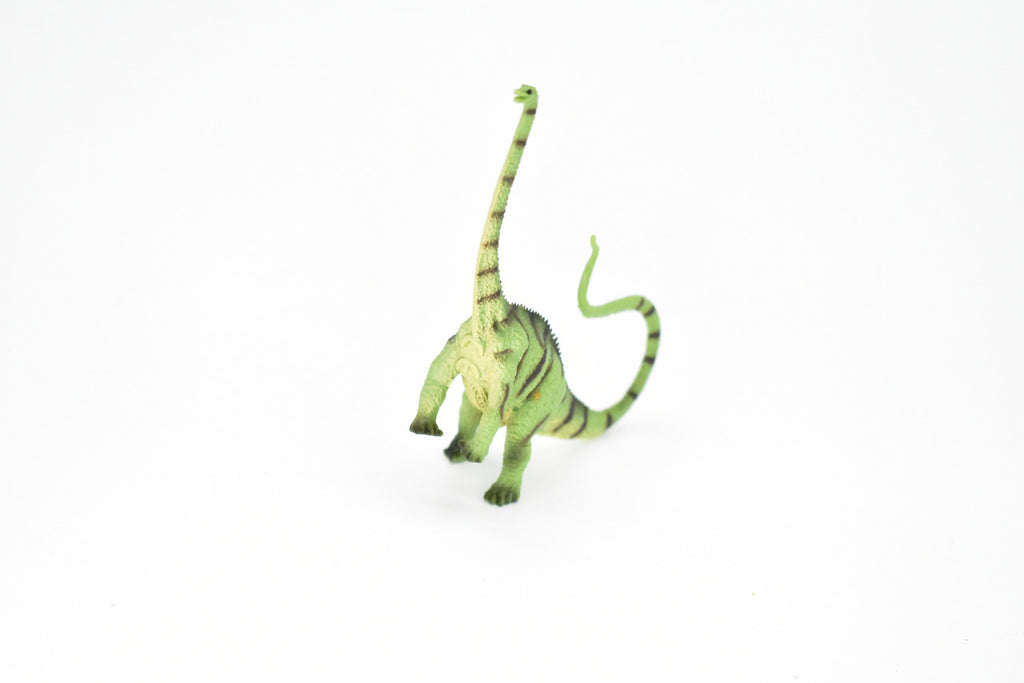 Diplodocus Dinosaur, Museum Quality, Animal, Educational, Realistic Hand Painted, Figure, Lifelike Model, Vintage Replica, Toy, Gift,    3 1/2 Inches.    F8113 B117