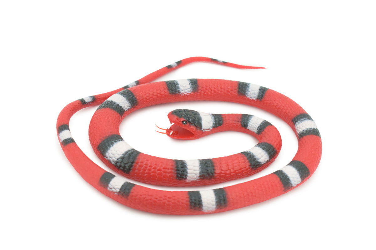 Scarlet Snake, Very Nice Rubber Reptile Design, Educational, Toy, Kids, Realistic Figure, Lifelike, Replica, Gift, 42" WR29 BB316