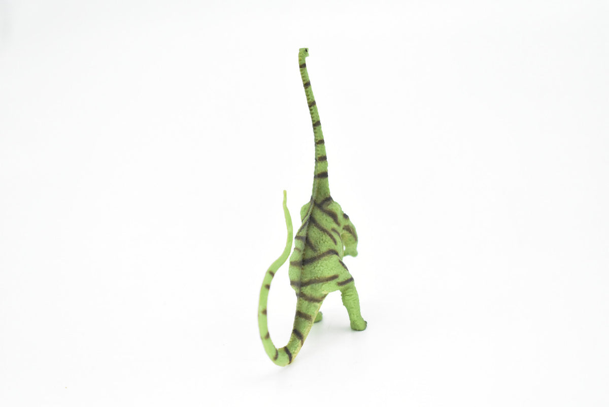 Diplodocus Dinosaur, Museum Quality, Animal, Educational, Realistic Hand Painted, Figure, Lifelike Model, Vintage Replica, Toy, Gift,    3 1/2 Inches.    F8113 B117