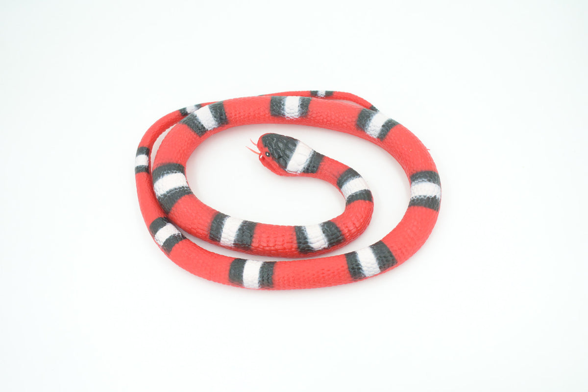 Scarlet Snake, Very Nice Rubber Reptile Design, Educational, Toy, Kids, Realistic Figure, Lifelike, Replica, Gift,    42"   WR29 BB316