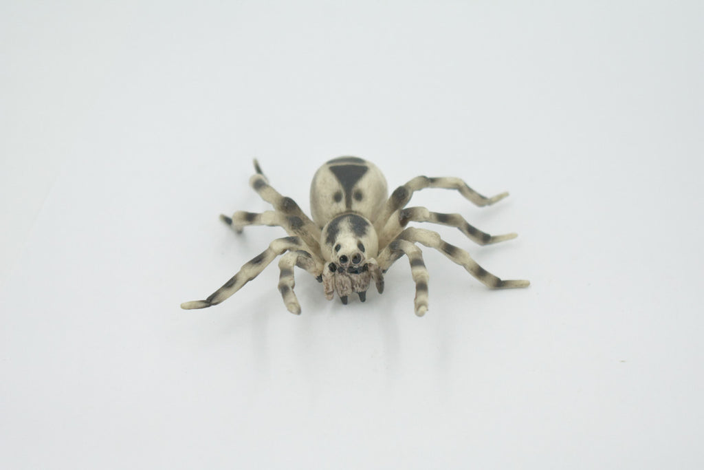 Spider, Wolf, Arachnids, Museum Quality, Hand Painted, Rubber Insect, Realistic, Figure, Model, Replica, Toy, Kids, Educational, Gift,     3 1/2"     CH530 BB158