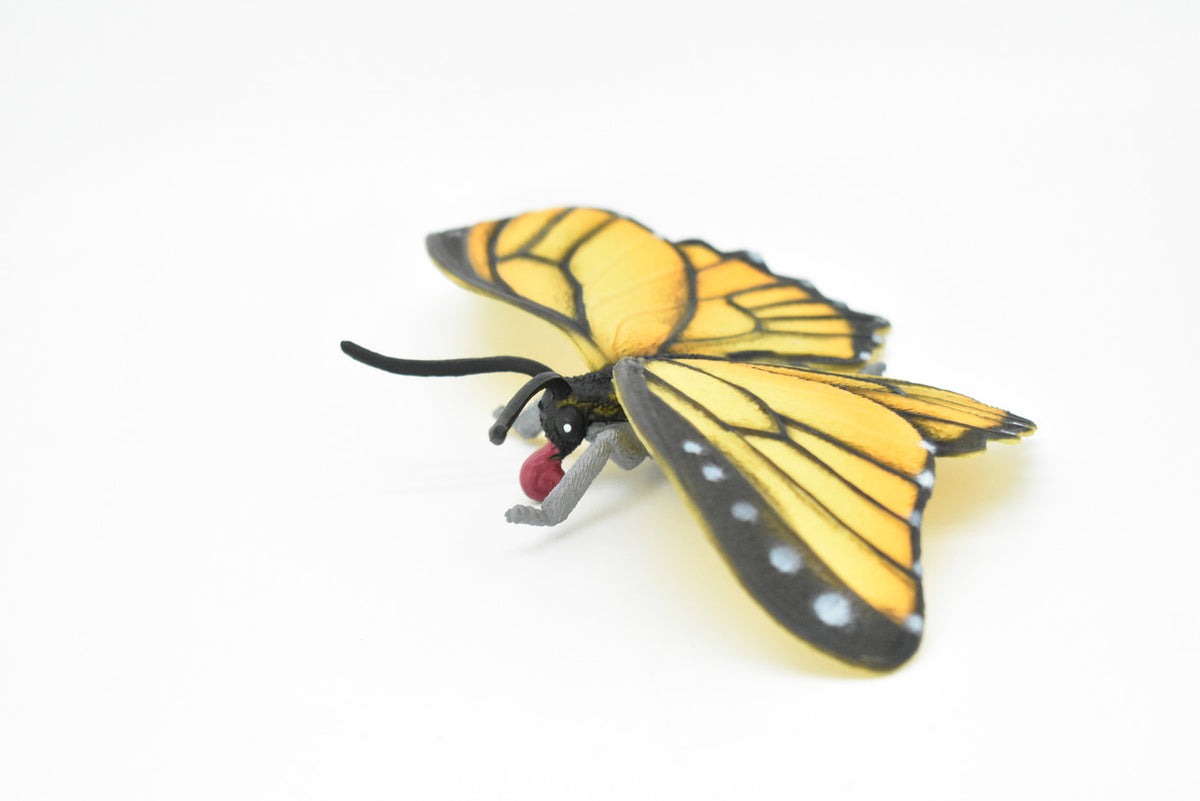 Butterfly, Monarch, Yellow and Orange, Very Nice Plastic Reproduction      8"      F2058 B134