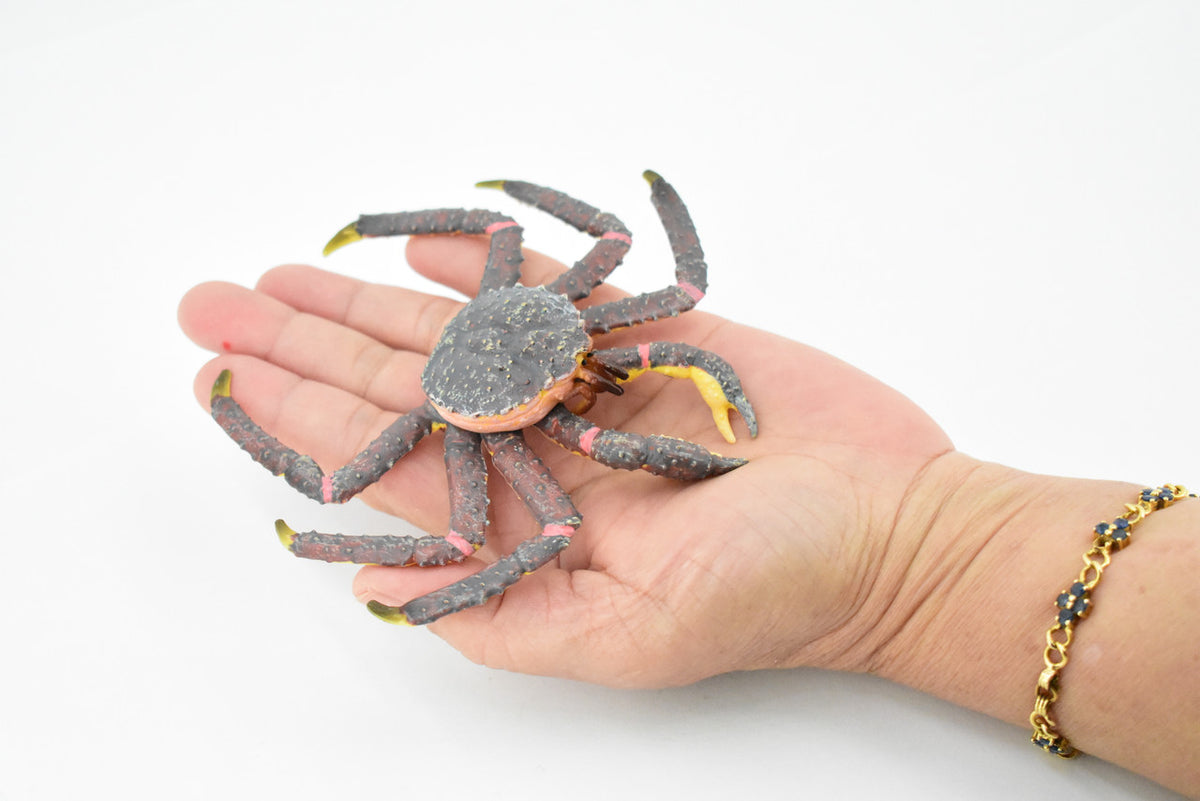 Crab, King Crab, Museum Quality, Hand Painted, Rubber Crustaceans, Realistic Toy Figure, Model, Replica, Kids, Educational, Gift,       5"    CH197 BB117