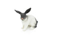 Rabbit, Bunny Rabbits, Fancy Domestic, Realistic Rubber Figure, Hand Painted, Rubber Mammal, Realistic Toy Figure, Replica, Kids, Educational,  2 Inches. 