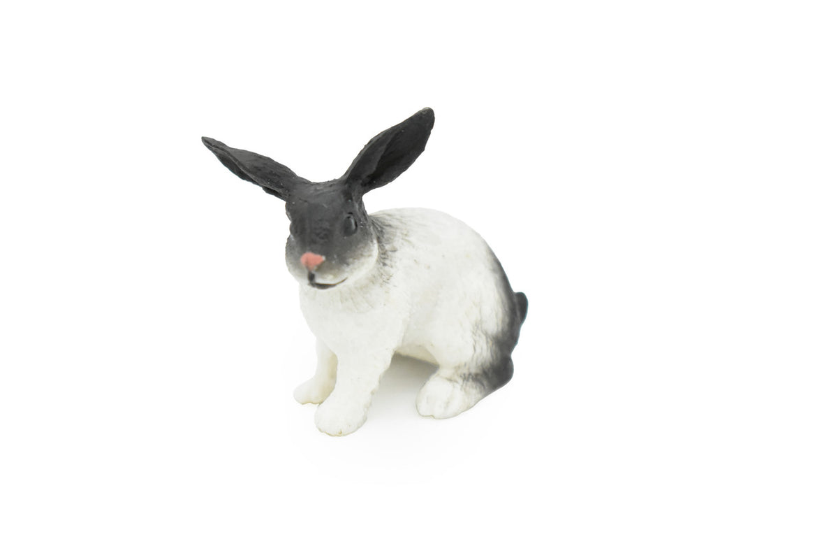 Rabbit, Bunny Rabbits, Fancy Domestic, Realistic Rubber Figure, Hand Painted, Rubber Mammal, Realistic Toy Figure, Replica, Kids, Educational,  2 Inches. 