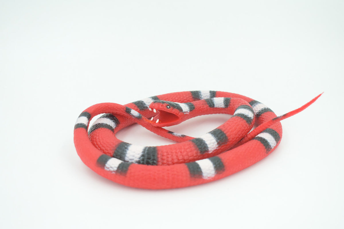 Scarlet Snake, Very Nice Rubber Reptile Design, Educational, Toy, Kids, Realistic Figure, Lifelike, Replica, Gift,    42"   WR29 BB316