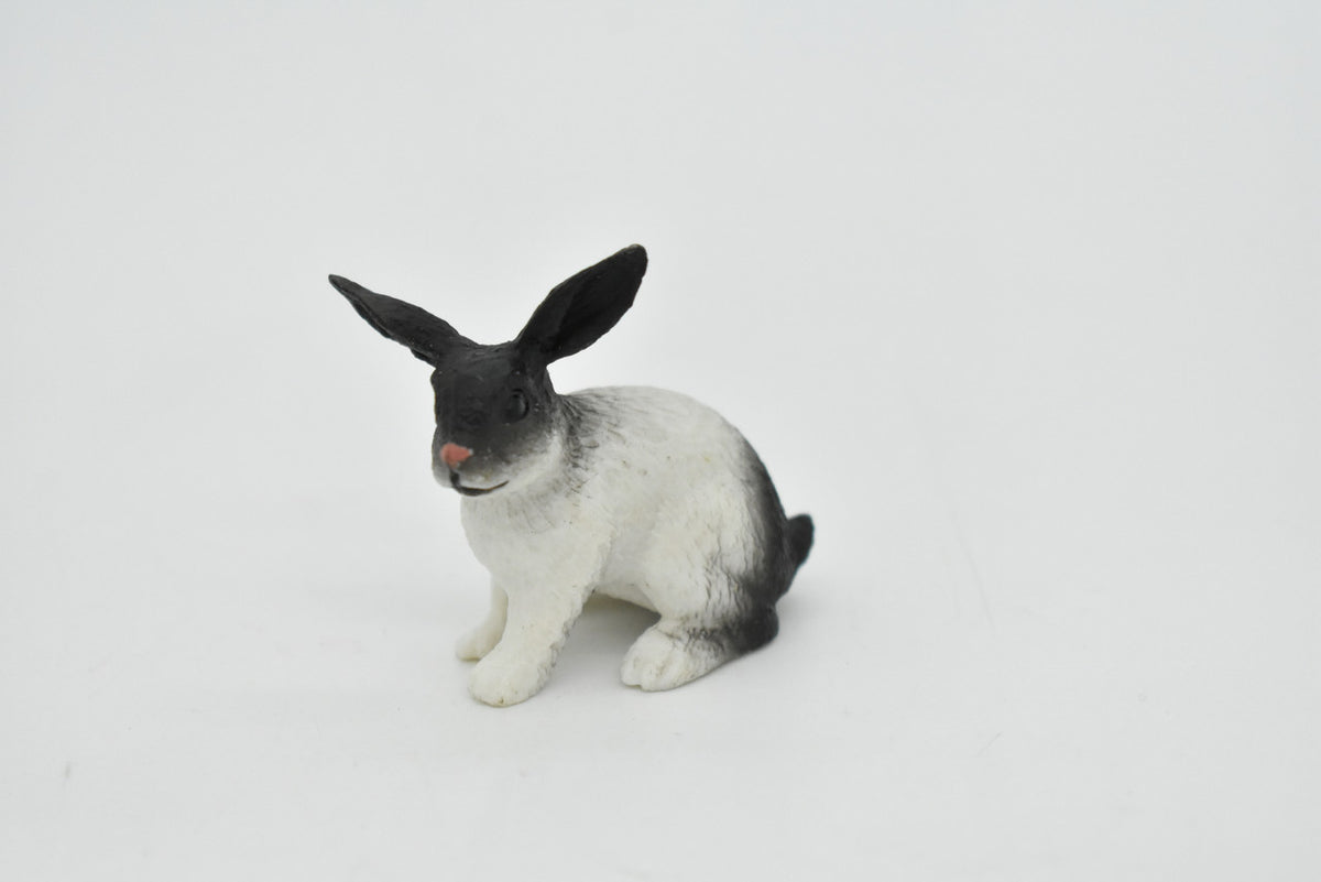 Rabbit, Bunny Rabbits, Fancy Domestic, Realistic Rubber Figure, Hand Painted, Rubber Mammal, Realistic Toy Figure, Replica, Kids, Educational,  2 Inches. 