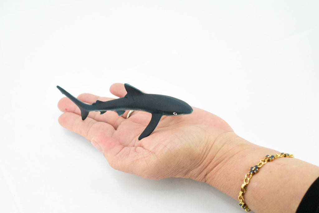 Blue Shark, Blue pointer, Museum Quality, Hand Painted, Educational, Rubber Fish, Diorama Model, Replica, Realistic Toy Figure, Kids,  5 Inches. 