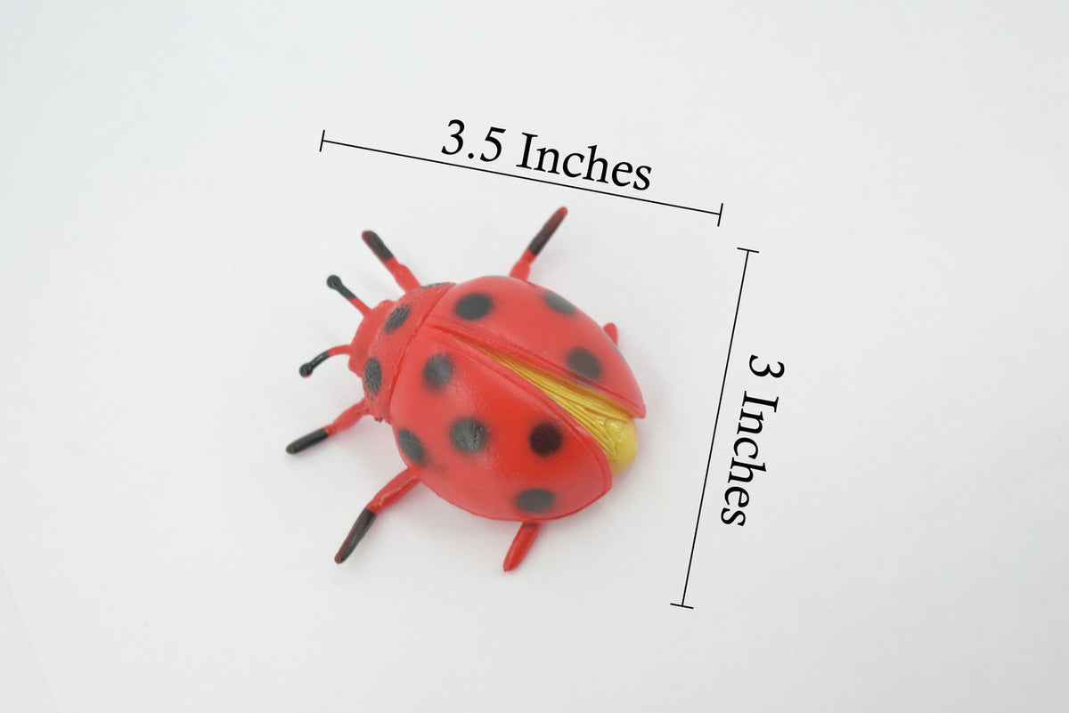 Ladybug, Beetle, Coccinellidae, Lady bug, Rubber Insect, Educational, Toy, Kids, Realistic Figure, Lifelike Model, Figurine, Replica, Gift, 