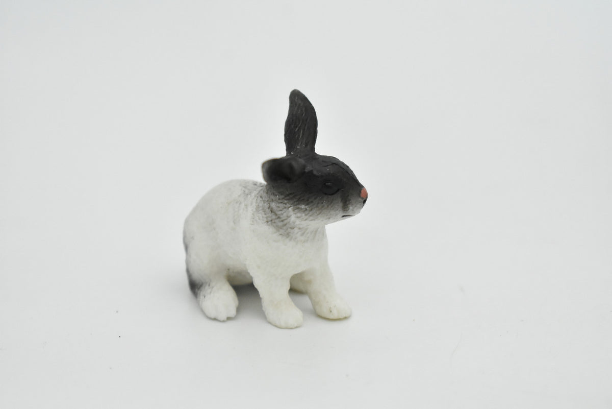 Rabbit, Bunny Rabbits, Fancy Domestic, Realistic Rubber Figure, Hand Painted, Rubber Mammal, Realistic Toy Figure, Replica, Kids, Educational, Gift,   2 Inches.      CH052 BB77