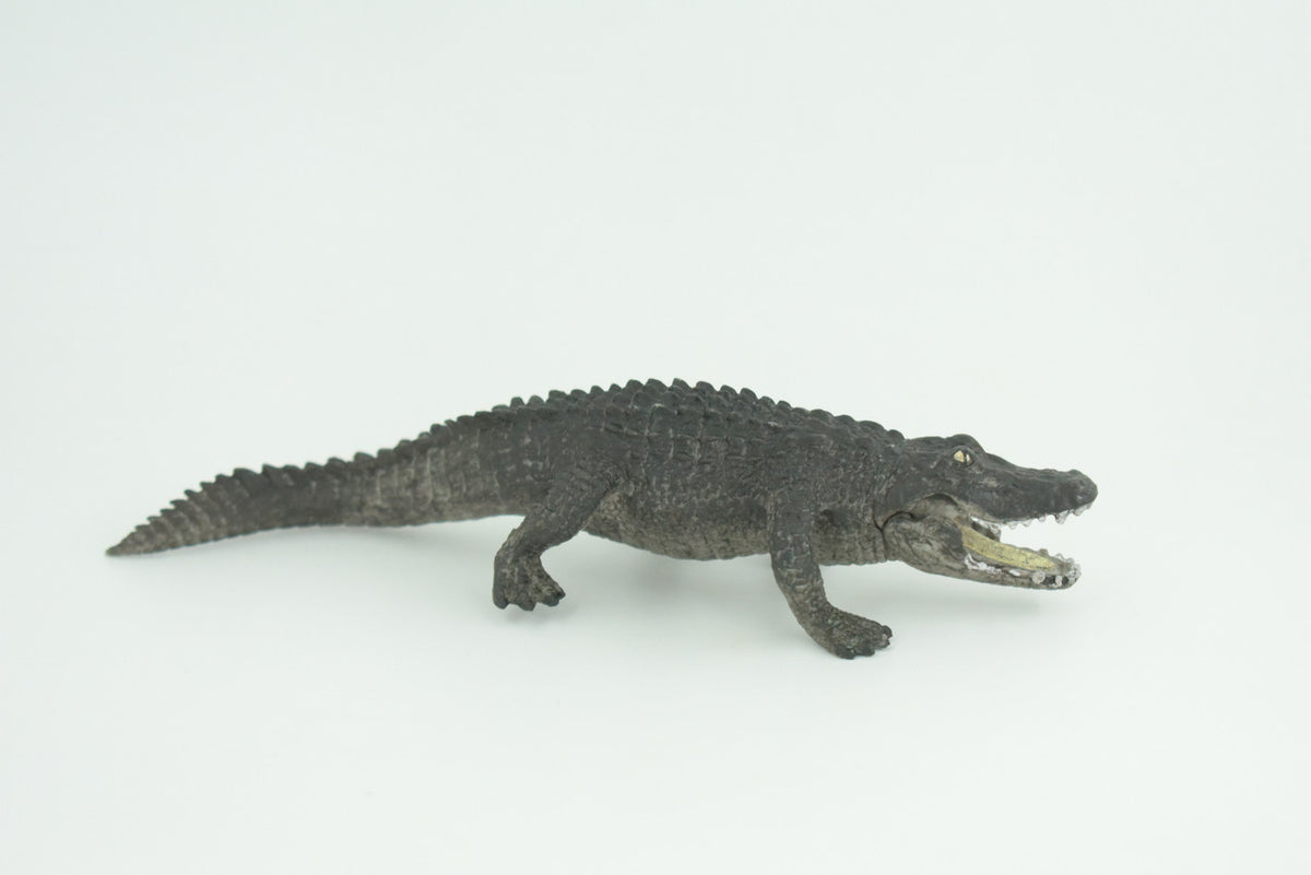 Alligator, Crocodile, Movable Jaws, Museum Quality, Educational, Hand Painted, Rubber Reptile, Realistic, Diorama, Toy, Kids, Gift, 7 Inches.  CH816 BB189