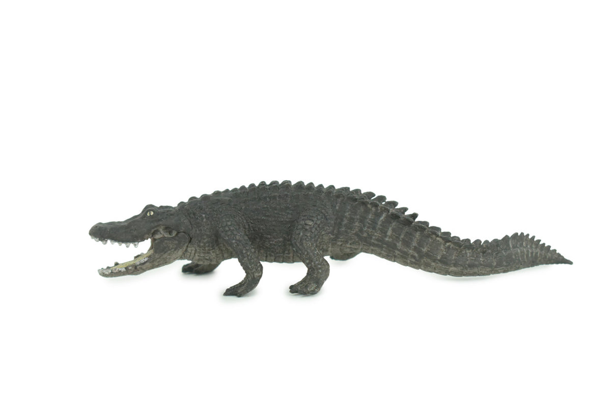 Alligator, Crocodile, Movable Jaws, Museum Quality, Educational, Hand Painted, Rubber Reptile, Realistic, Diorama, Toy, Kids, Gift, 7 Inches. CH816 BB189