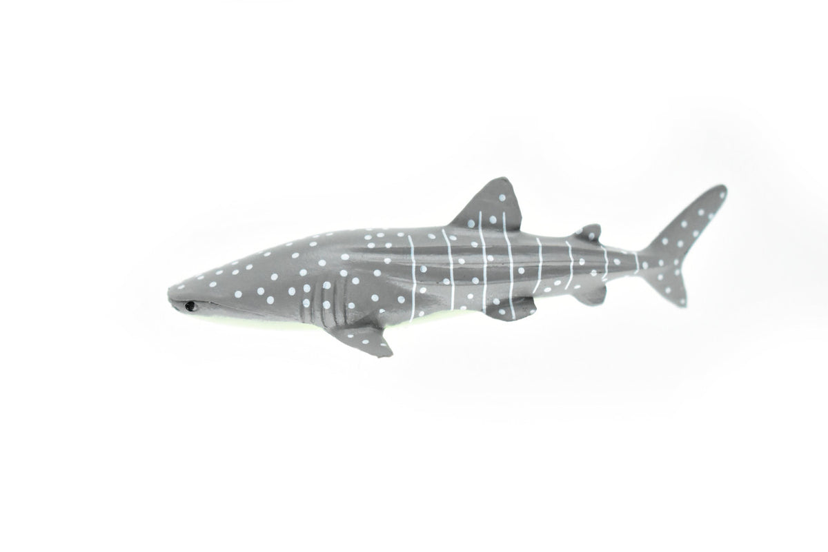 Whale Shark, Curved, Very Nice Plastic Replica    3"    -     F1014 B118