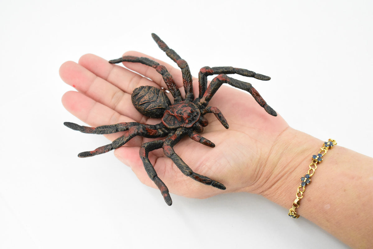 Wolf Spider, Arachnida, Museum Quality, Educational, Hand Painted, Rubber Insect, Diorama Model, Realistic, Kids, Toys, 5 Inches. 