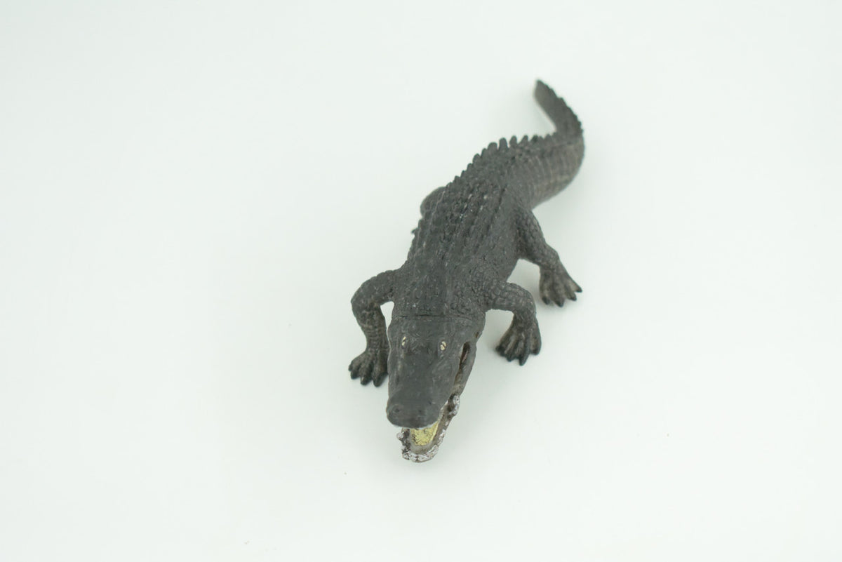 Alligator, Crocodile, Movable Jaws, Museum Quality, Educational, Hand Painted, Rubber Reptile, Realistic, Diorama, Toy, Kids, Gift, 7 Inches.  CH816 BB189