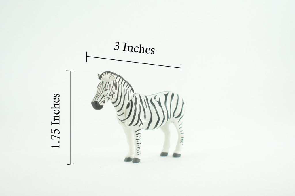 Zebra, African equines, Equidae, High Quality, Hand Painted, Rubber, Realistic, Figure, Model, Replica, Toy, Kids, Educational, Gift, 3 Inches CWG220 B17