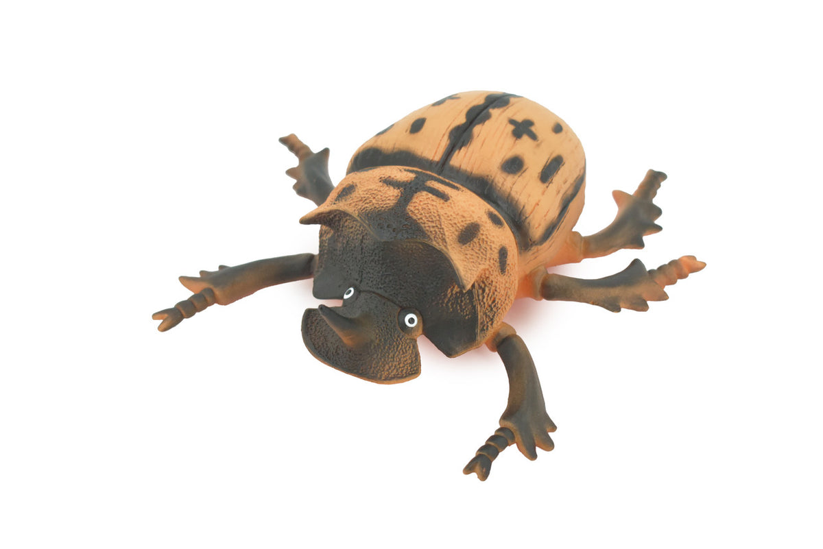 Beetle, Horned Rhino Beetle, Dynastinae, Rubber Insect, Educational, Toy, Kids, Realistic Figure, Lifelike Model, Figurine, Replica, Gift, 