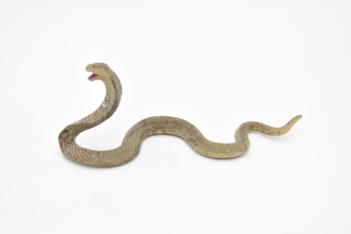 Cobra Toy, King, Snake, Reptiles, Very Realistic Rubber Figure, Model, Educational, Animal, Hand Painted Figurines,       6"       CH048 BB77