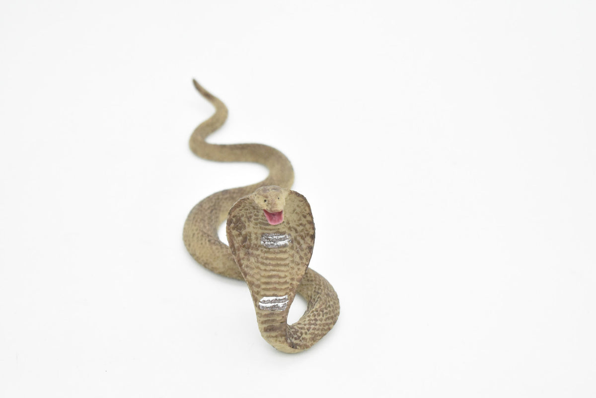 Cobra Toy, King, Snake, Reptiles, Very Realistic Rubber Figure, Model, Educational, Animal, Hand Painted Figurines,       6"       CH048 BB77