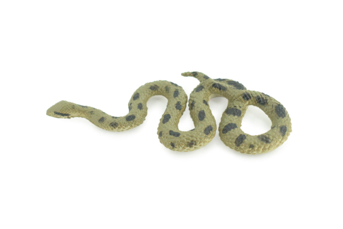 Anaconda, Snake, Very Nice Rubber Reptile, Educational, Realistic Hand Painted, Figure, Lifelike Model, Figurine, Replica, Gift, 4" F430 B364 