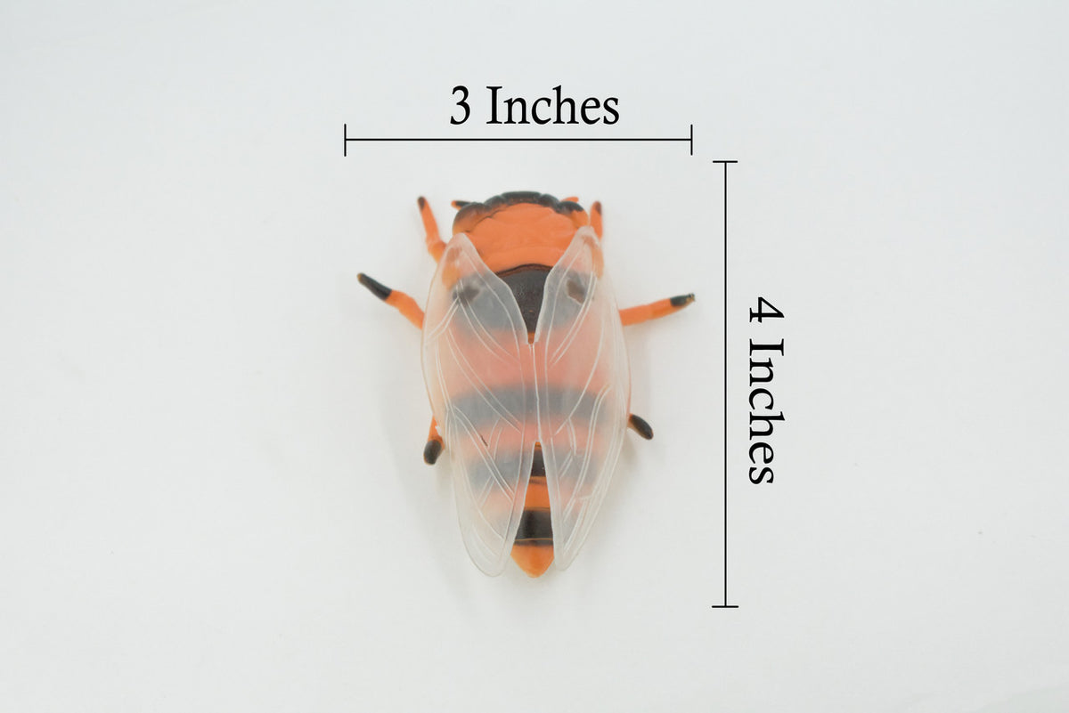 Cicada, Cicadas, Cicadoidea, Solid Rubber Insect, Educational, Toy, Kids, Realistic Figure, Lifelike Model, Figurine, Replica, Gift,