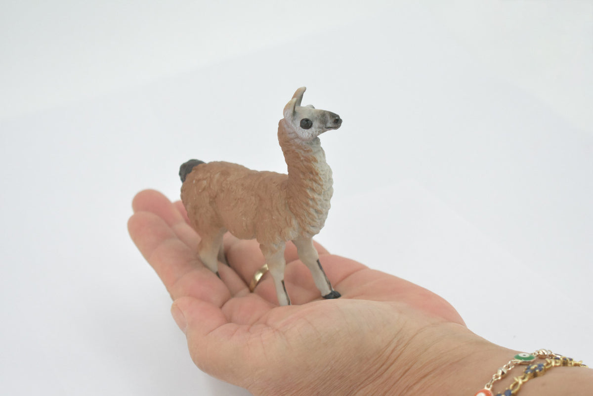 Alpaca, Lama pacos, Museum Quality, Hand Painted, Rubber Animal, Realistic, Toy, Figure, Model, Replica, Kids, Educational, Gift,    3 1/2"    CH603 BB165