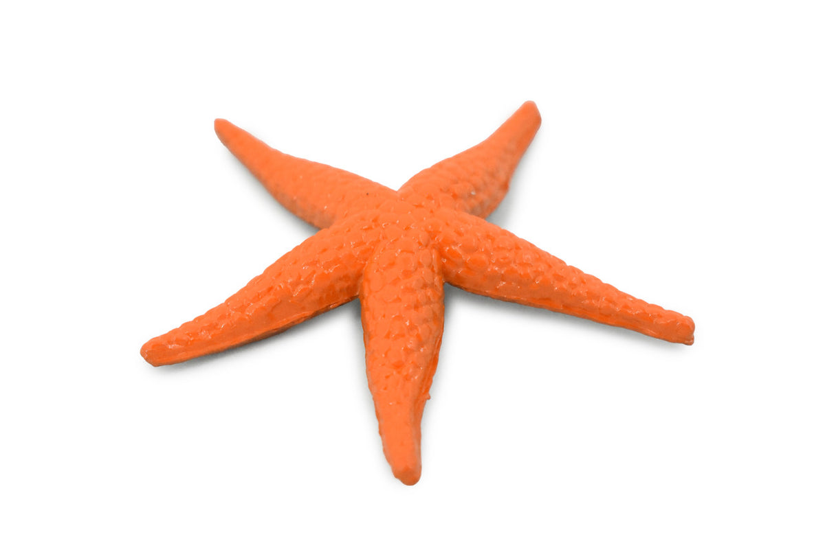 Starfish Toy, Orange, Sea Star, echinoderms,  Asteroidea, Rubber Design, Realistic Replica, Educational Toy, Life Like, Gift,       2"    