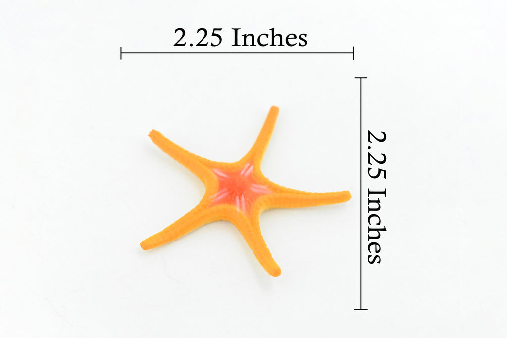 Starfish,  Ross, Sea Star, Echinoderms, Asteroidea, Ocean, Sea Life, Plastic, Model, Realistic Replica, Educational Toy, Figurine, Life Like, Gift,      2 1/4"    F927 B158