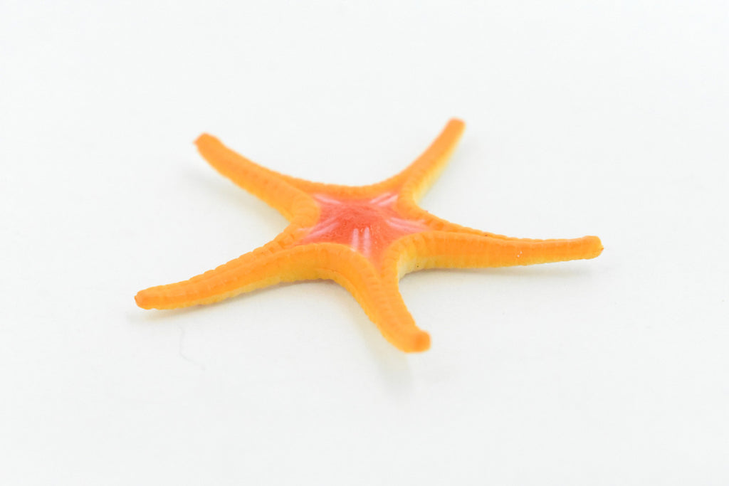 Starfish,  Ross, Sea Star, Echinoderms, Asteroidea, Ocean, Sea Life, Plastic, Model, Realistic Replica, Educational Toy, Figurine, Life Like, Gift,      2 1/4"    F927 B158