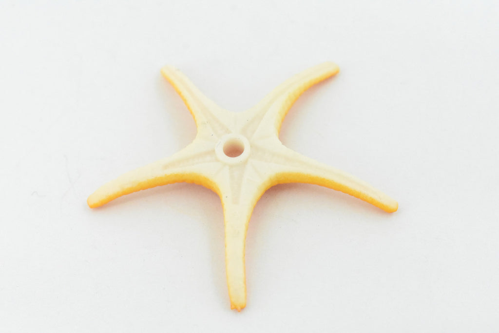 Starfish,  Ross, Sea Star, Echinoderms, Asteroidea, Ocean, Sea Life, Plastic, Model, Realistic Replica, Educational Toy, Figurine, Life Like, Gift,      2 1/4"    F927 B158