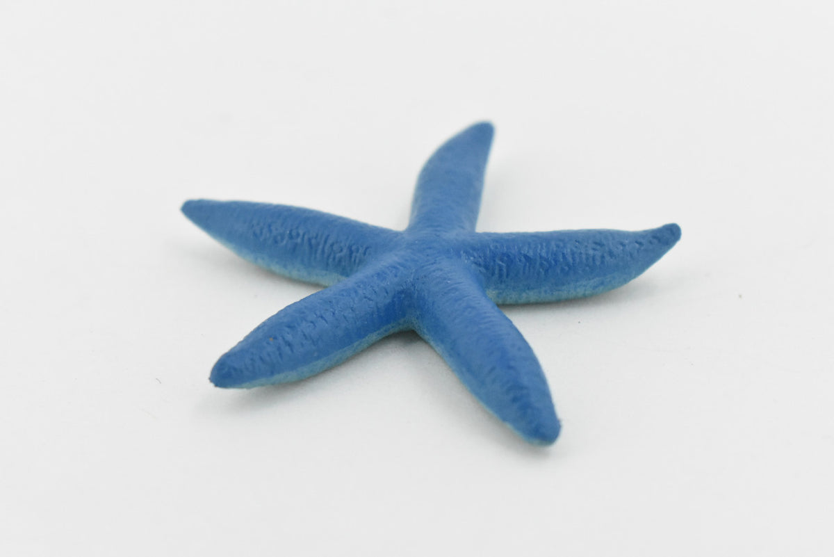 Starfish, Blue, Sea Star, Echinoderms,  Asteroidea, Ocean, Sea Life, Plastic Figure, Model, Realistic Replica, Educational, Figurine, Animal, Life Like, Gift,    2 1/4 "   F925 B158