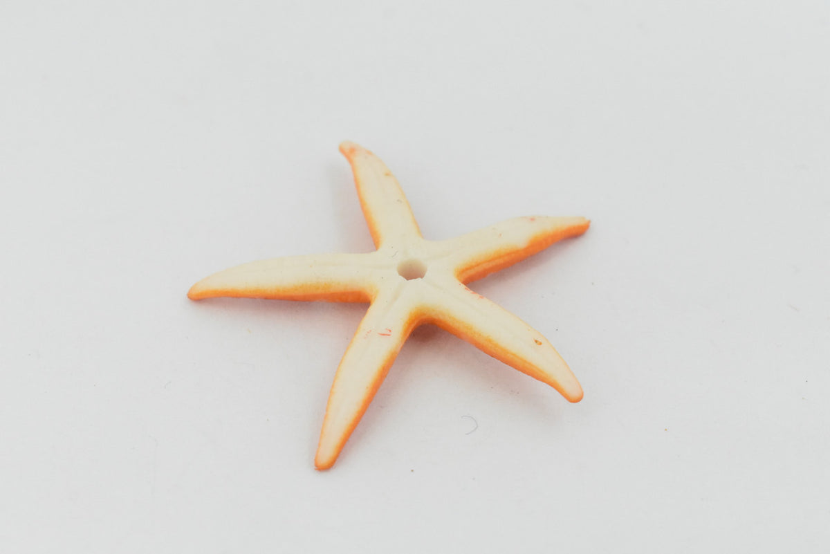 Starfish, Sea Star, Echinoderms,  Asteroidea, Ocean, Sea Life, Plastic Figure, Model, Realistic Replica, Educational, Figurine, Animal, Life Like, Gift,     2 "     F931 B158