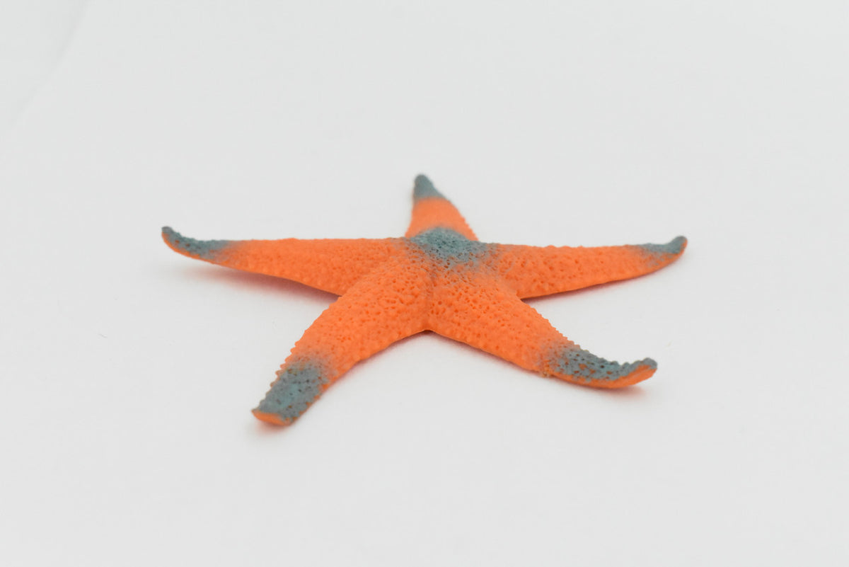 Starfish, Orange Sea Star, Ocean, Sea Life, Plastic Figure, Model, Realistic Replica, Educational, Figurine, Animal, Life Like, Gift,     4"    F6019 B378