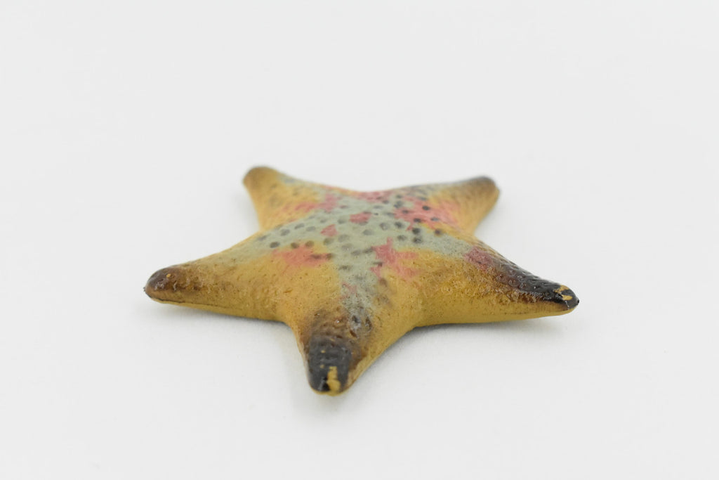 Starfish, Sea Star, echinoderms,  Edmond's, Ocean, Sea Life, Plastic Figure, Model, Realistic Replica, Educational, Figurine, Animal, Life Like, Gift,      2 1/4"       F926 B158