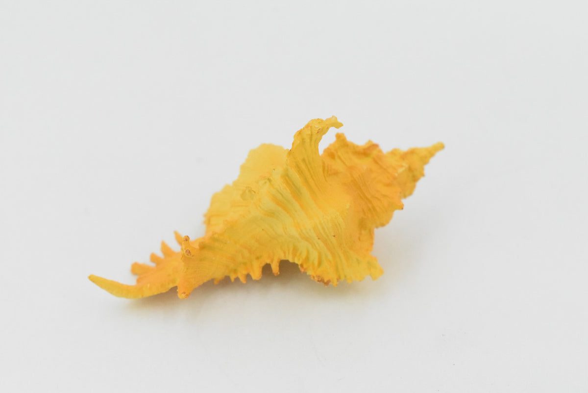 Murex Shell, Sea Snell,  Pantone Color, Ocean, Sea Life, Plastic Figure, Model, Realistic Replica, Educational, Figurine, Animal, Life Like, Gift,      2"      F4114 B96