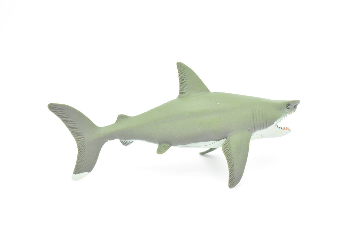 Great White Shark, Squeaks, Very Nice Design, Hand Painted, Rubber, Educational, Diorama Model, Realistic Figure, Figurine, Replica, Toy, Kids, Gift,    6 Inches.   F470 B5
