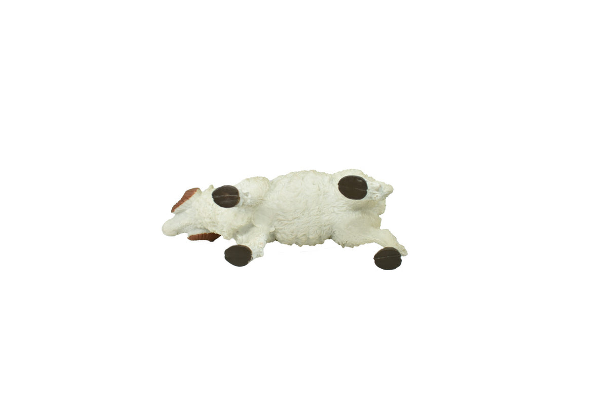 BOTTOM