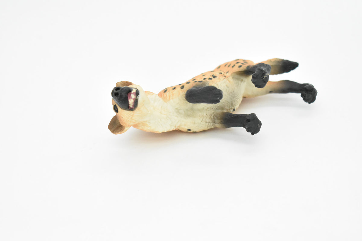 Spotted Hyena, Crocuta crocuta, Museum Quality, Hand Painted, Educational, Rubber Animal, Realistic Toy Figure, Diorama Model, Kids, Gift,    4 1/2 Inches.   CH050 BB77