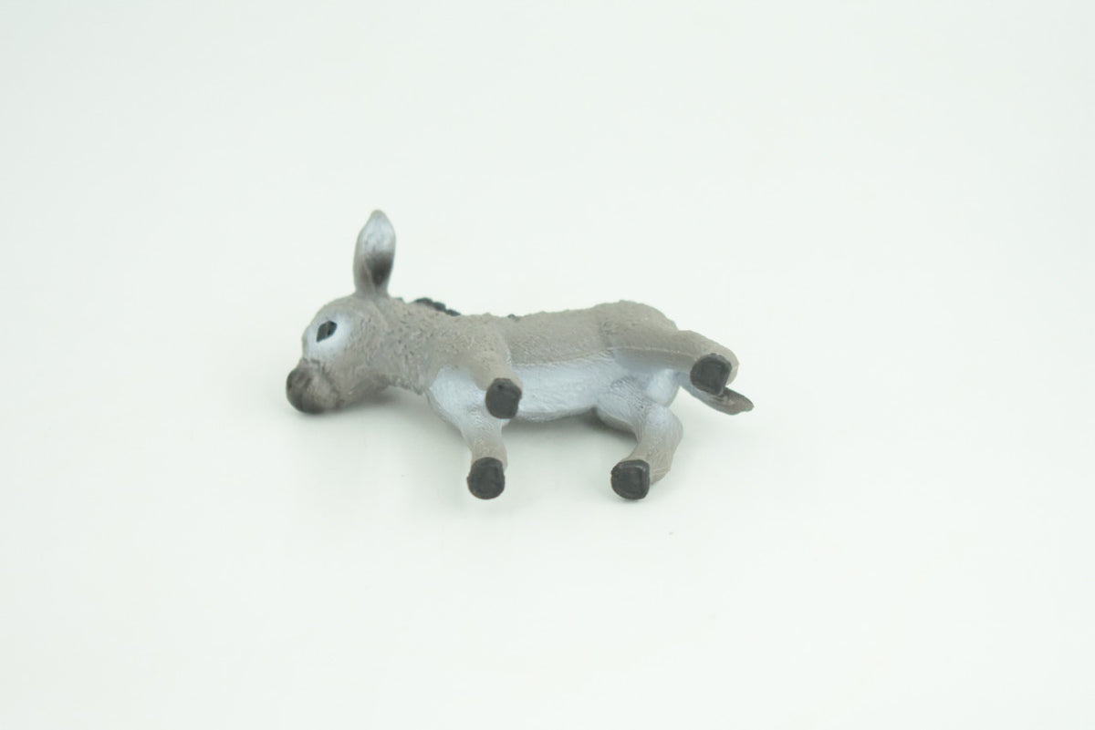 Donkey Baby, Hand Painted, Museum Quality, Educational, Rubber Animal, Donkey foal, Very Realistic, Diorama, Toy, Kids, Gift,  3 Inches.  CH820 BB189
