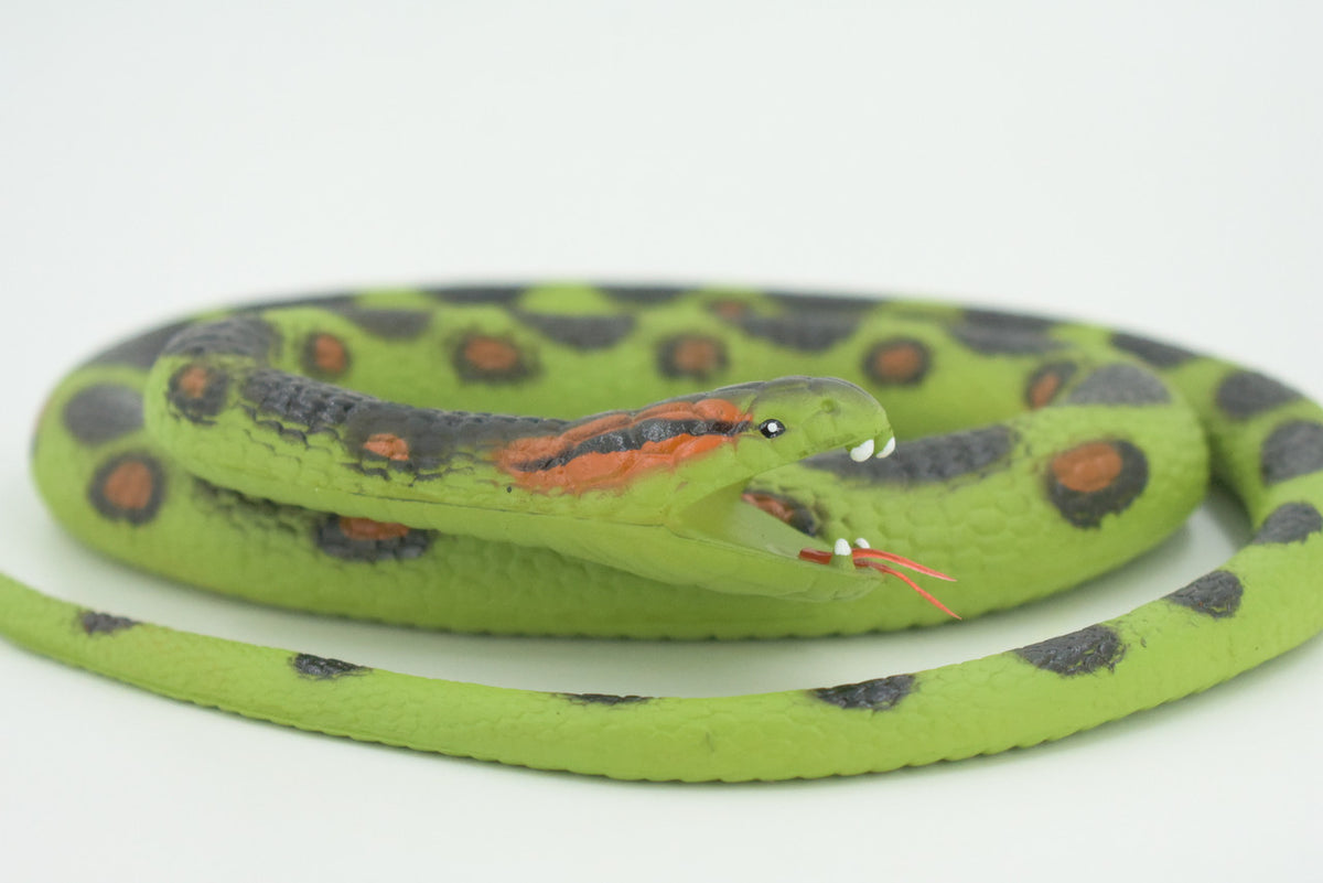 Anaconda Snake, Very Nice Rubber Reptile Design, Educational, Toy, Kids, Realistic Figure, Lifelike, Replica, Gift,    42"   WR24 BB316