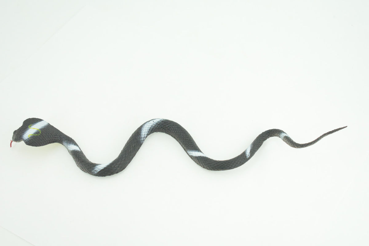 Cobra, Black and White Snake, Rubber Reptile, Educational, Realistic Hand Painted, Figure, Lifelike Model, Figurine, Replica, Gift,      9 Inches     F3594 B363