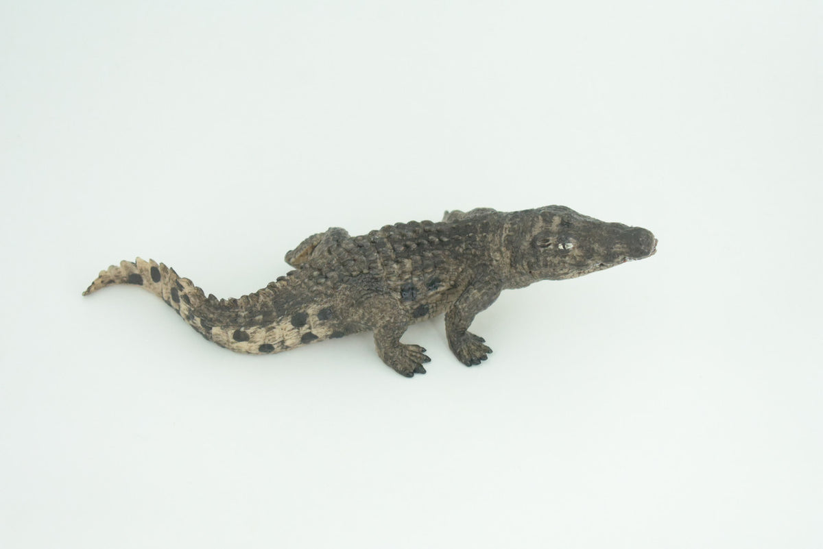 Alligator, Crocodile, Movable Jaws, Museum Quality, Educational, Hand Painted, Rubber Reptile, Realistic, Diorama, Toy, Kids, Gift, 7 Inches.  CH817 BB189