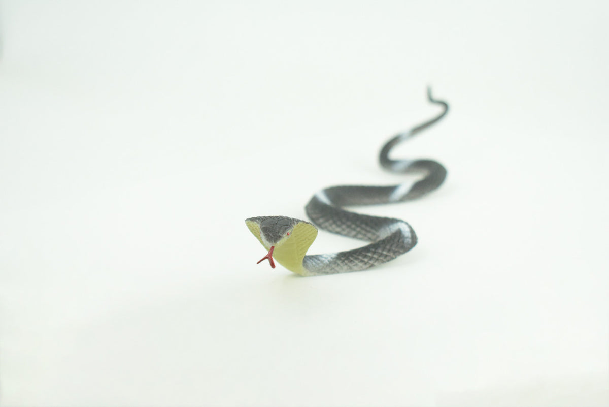 Cobra, Black and White Snake, Rubber Reptile, Educational, Realistic Hand Painted, Figure, Lifelike Model, Figurine, Replica, Gift,      9 Inches     F3594 B363