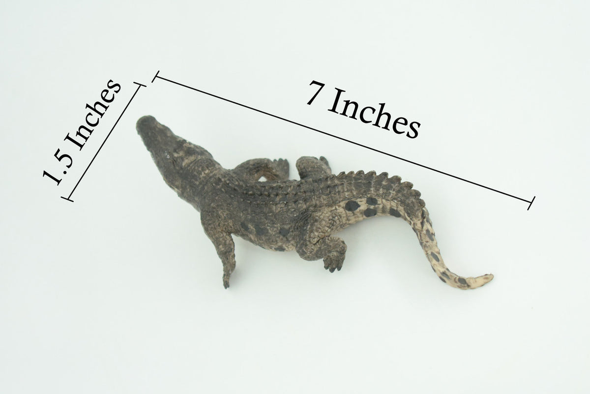 Alligator, Crocodile, Movable Jaws, Museum Quality, Educational, Hand Painted, Rubber Reptile, Realistic, Diorama, Toy, Kids, Gift, 7 Inches. CH817 BB189